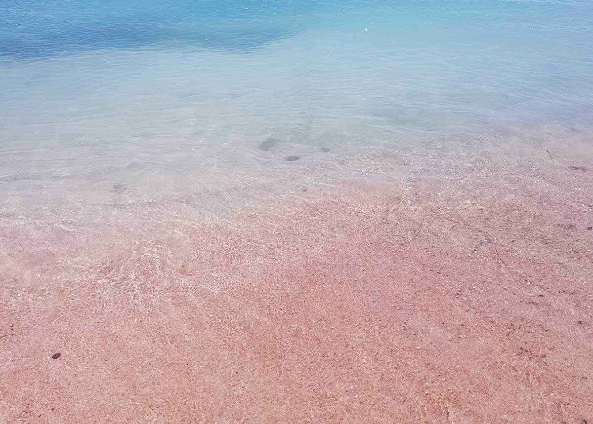 elafonisi beach: pink sand