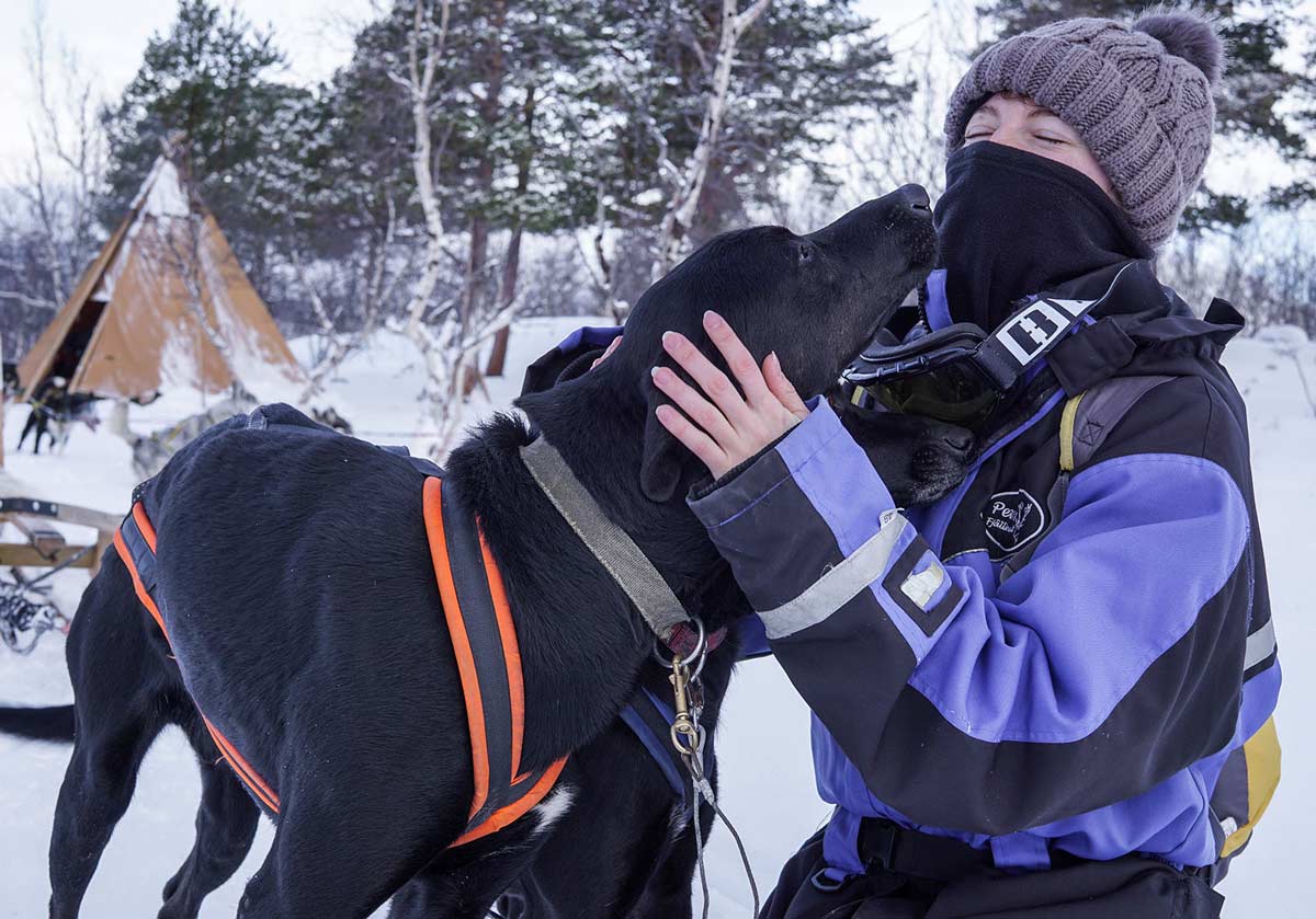 dog sledding ride in Abisko