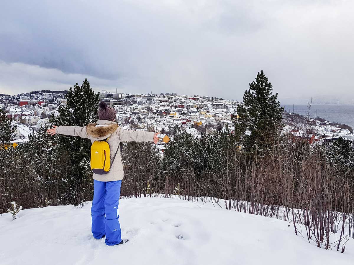 Narvik viewpoint