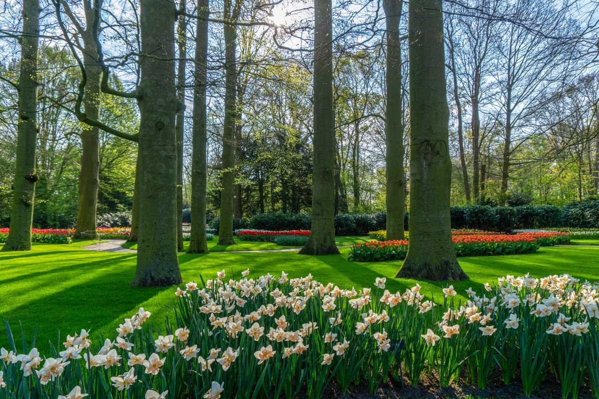 keukenhof gardens