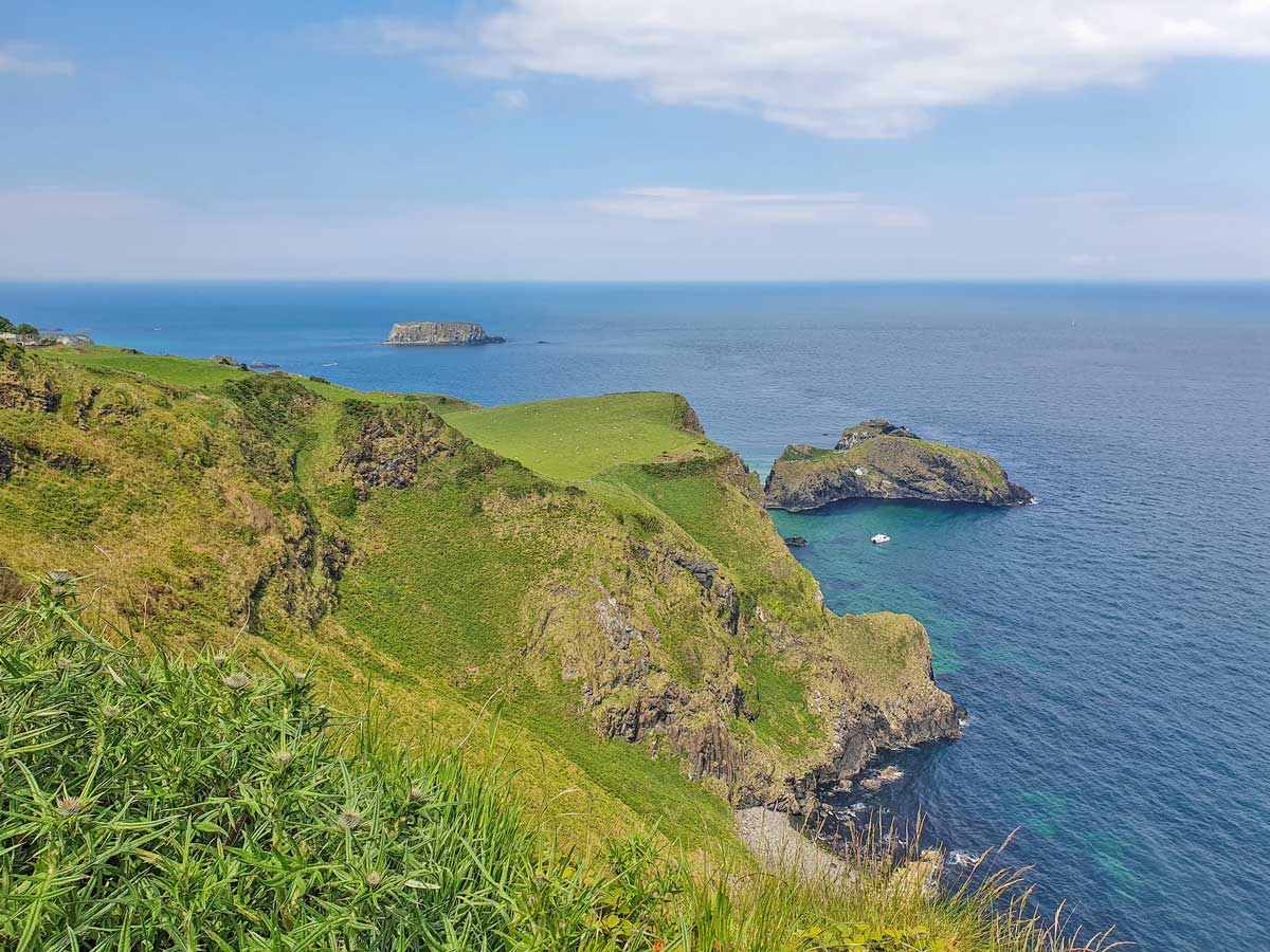 Carrickarede island seen from the viewpoint