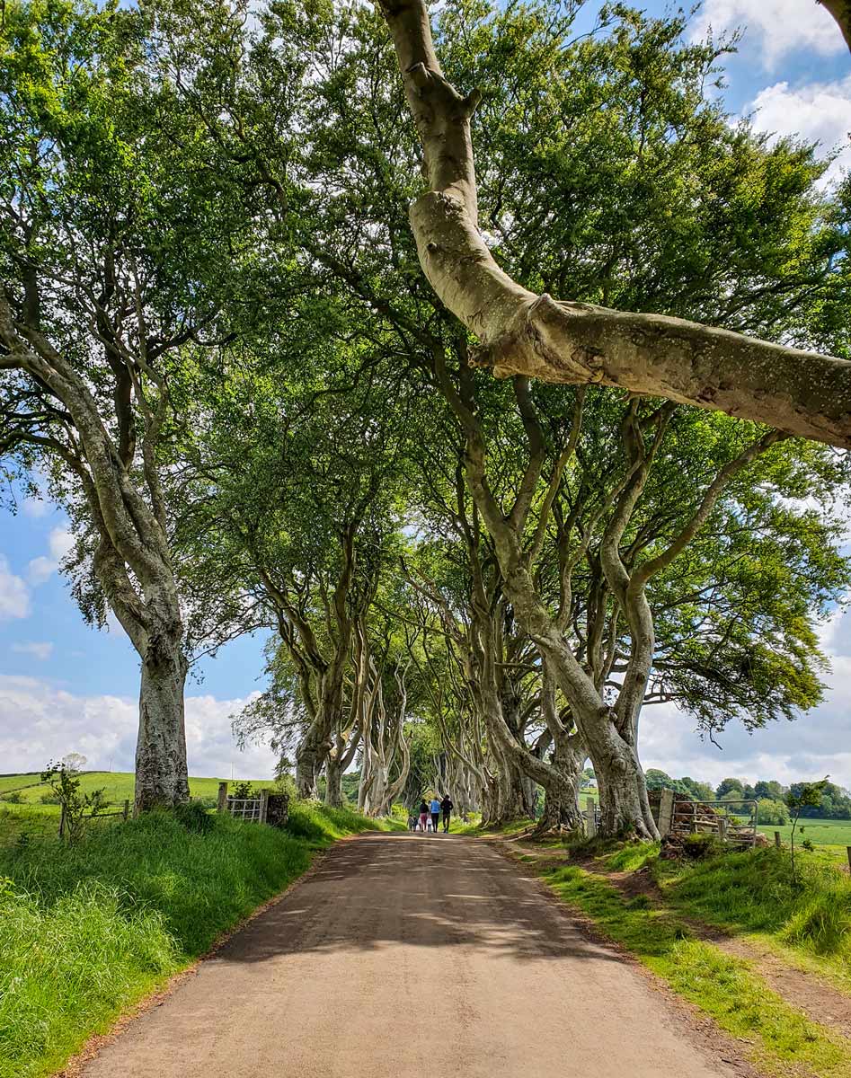 The Dark Hedges, Northern Ireland