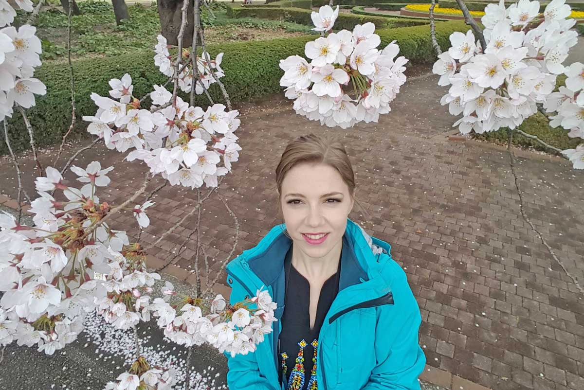 cherry blossoms in Tokyo