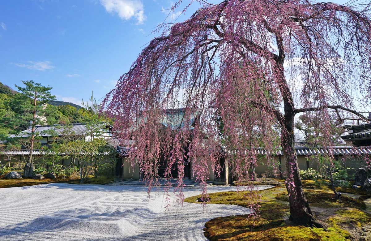 Kodai-ji, Kyoto