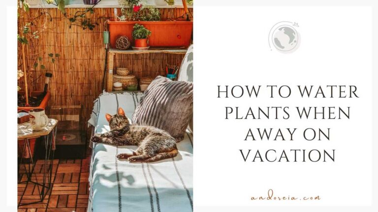 how to water plants when away on vacation