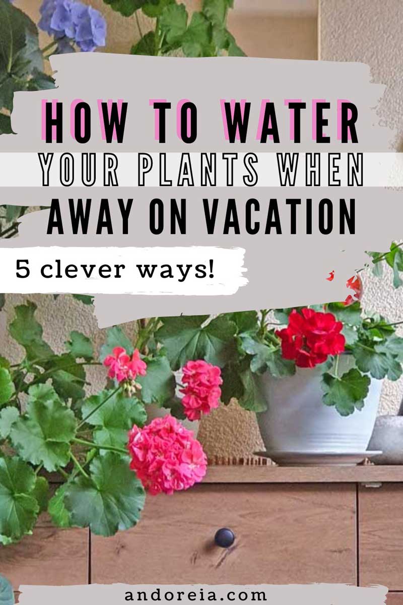how to water plants while on vacation