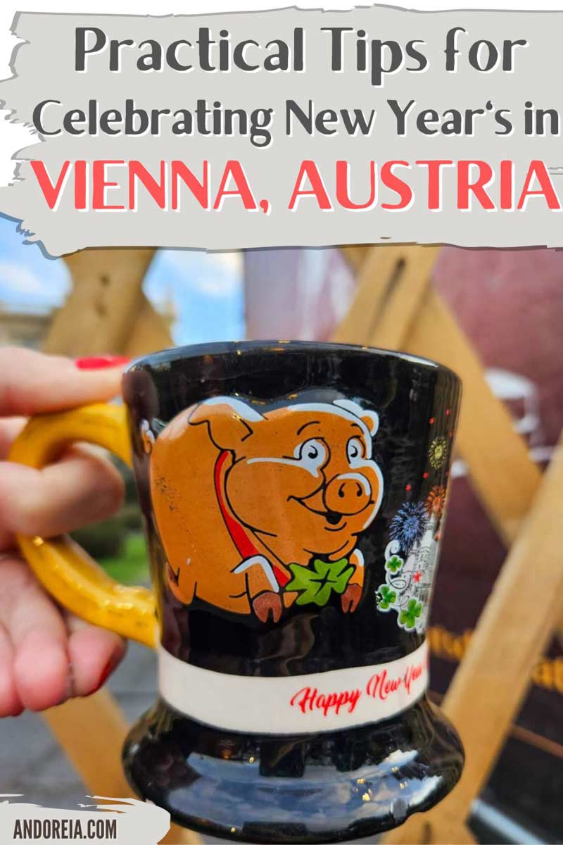 practical tips for celebrating New Year's in Vienna, Austria (pin)